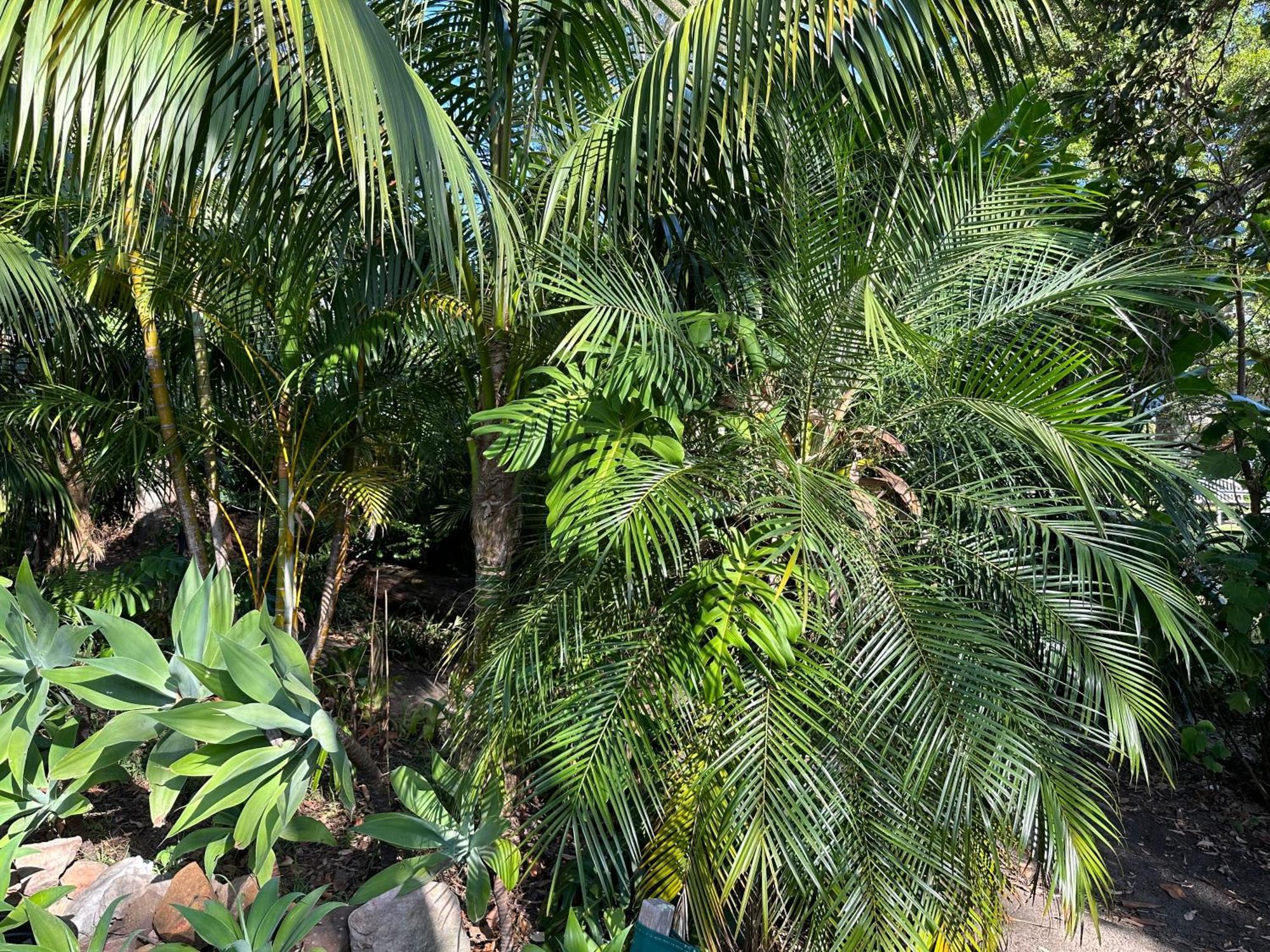 Palm Beach Bed&Breakfast Exterior foto
