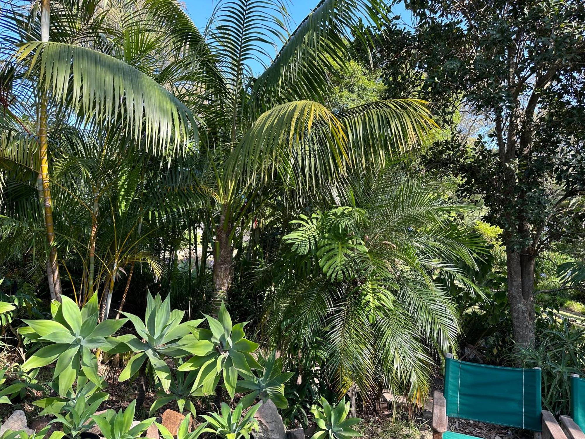 Palm Beach Bed&Breakfast Exterior foto